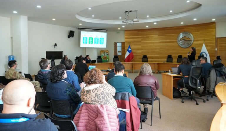 Se realizó lanzamiento del Geoportal IDE GORE Aysén en la Mesa regional IDE Aysén