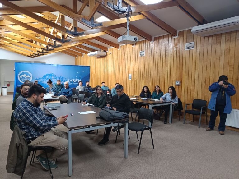IDE Aysén cierra el año con tercera sesión de Mesa regional